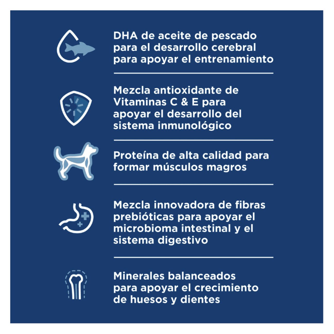Hills Science Diet Puppy Small and Mini - Alimento para Perros