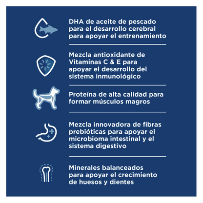 Hills Science Diet Puppy Small and Mini - Alimento para Perros