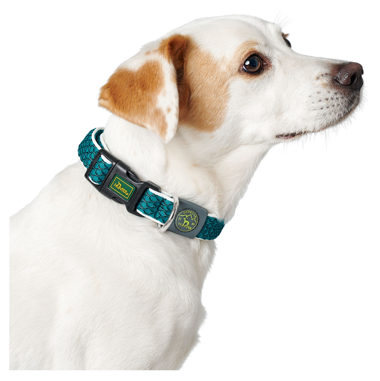 Hunter Collar Hilo Vario Basic Turquoise - Collares para Perros