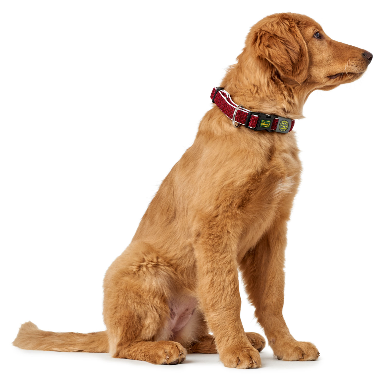 Hunter Collar Hilo Vario Plus Red L-XL - Collares para Perros