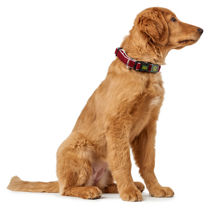 Hunter Collar Hilo Vario Plus Red L-XL - Collares para Perros