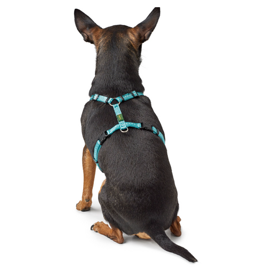 Hunter Harness Tripoli Light Pink - Arnés para Perros