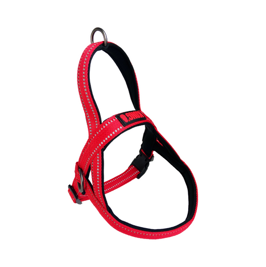 Kong Arnés Norwegian Rojo - Arnés para Perros