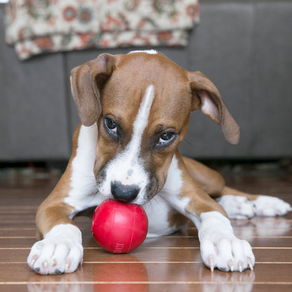 Kong Ball - Juguetes para Perros