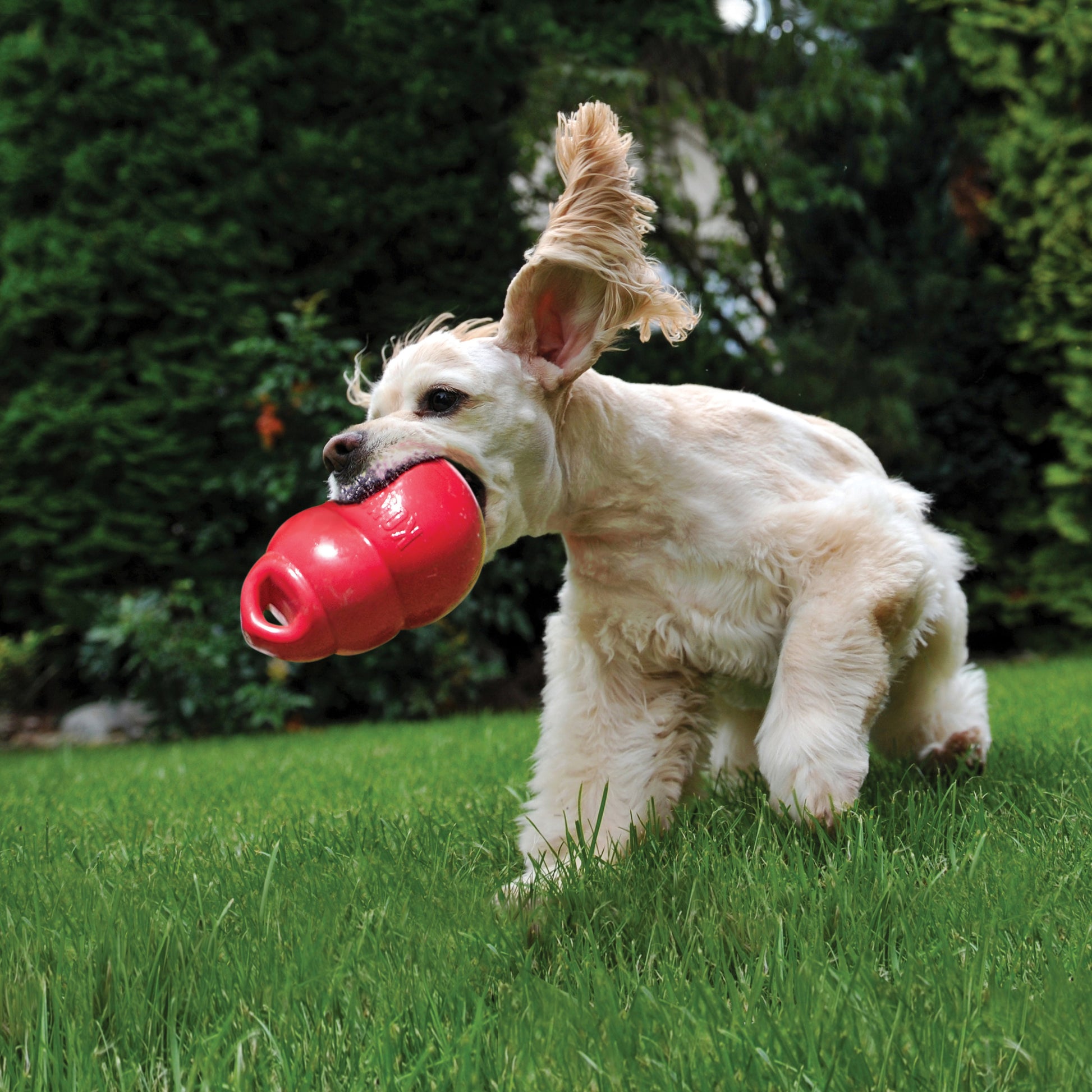 Kong Bounzer - Juguetes para Perros