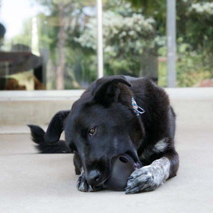 Kong Extreme Ball - Juguetes para Perros