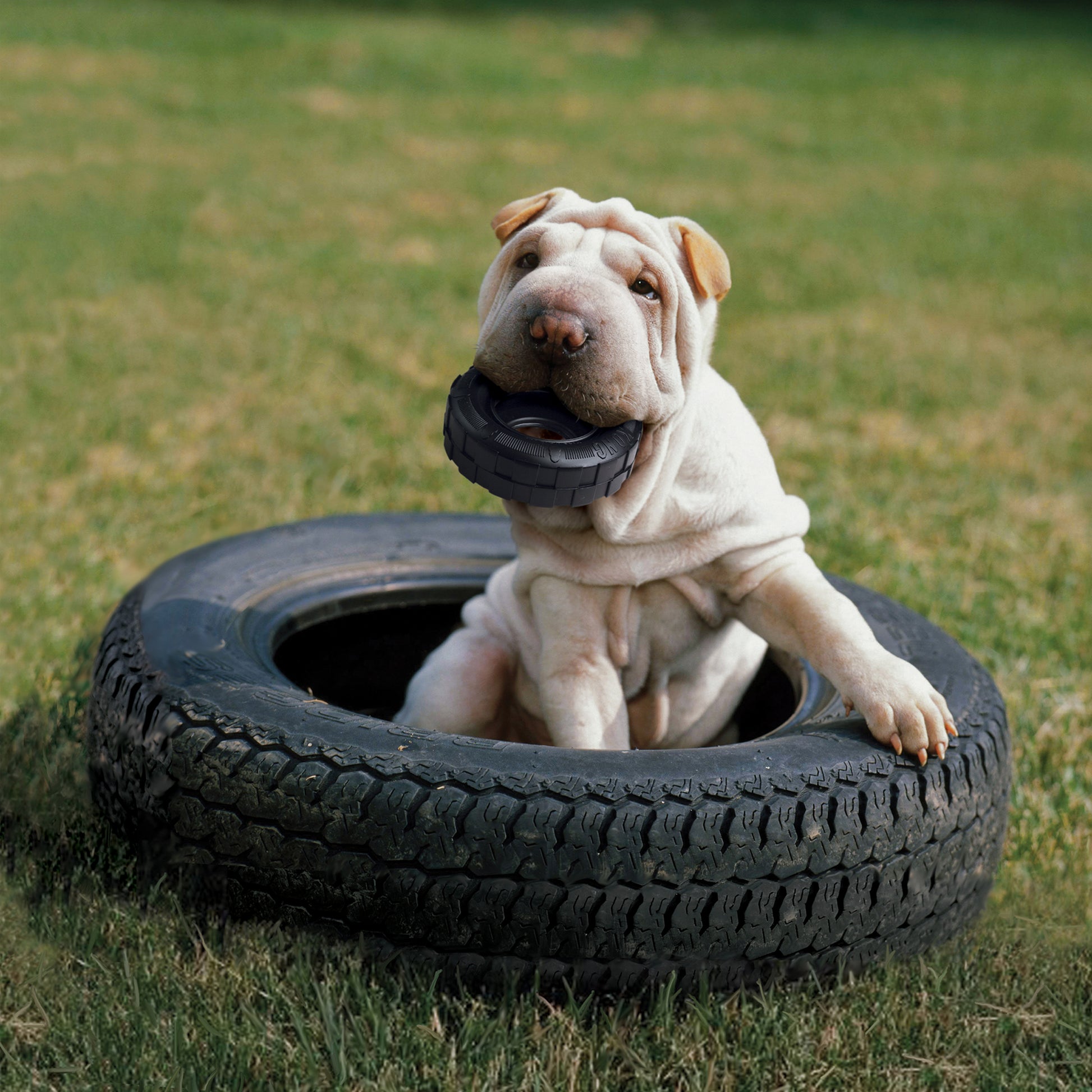 Kong Extreme Tires - Juguetes para Perros