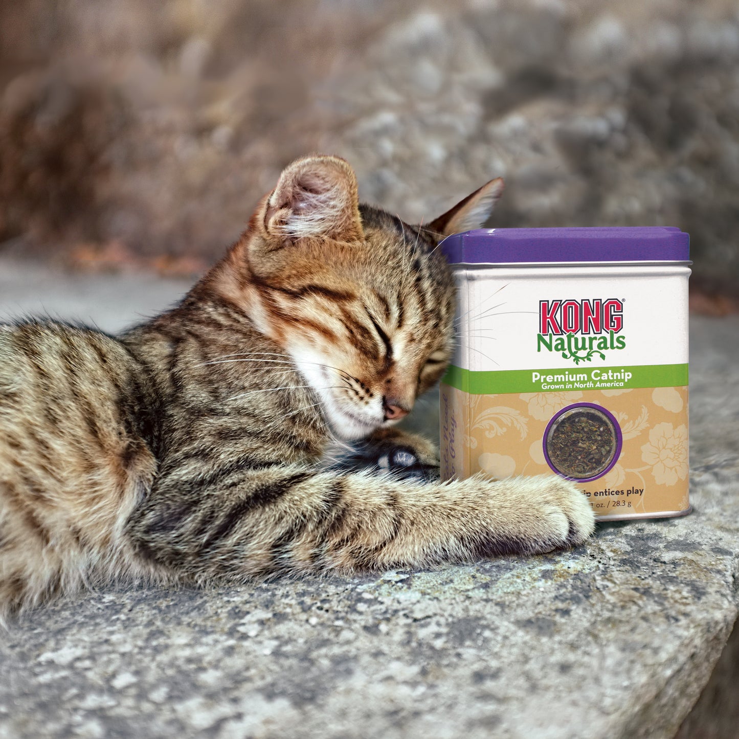 Kong Naturals Catnip - Catnip para Gatos