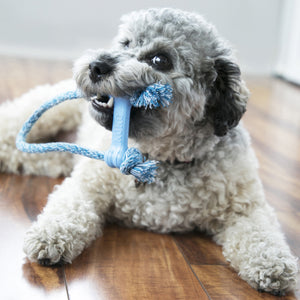 Kong Puppy Goodie Bone with Rope - Juguetes para Perros