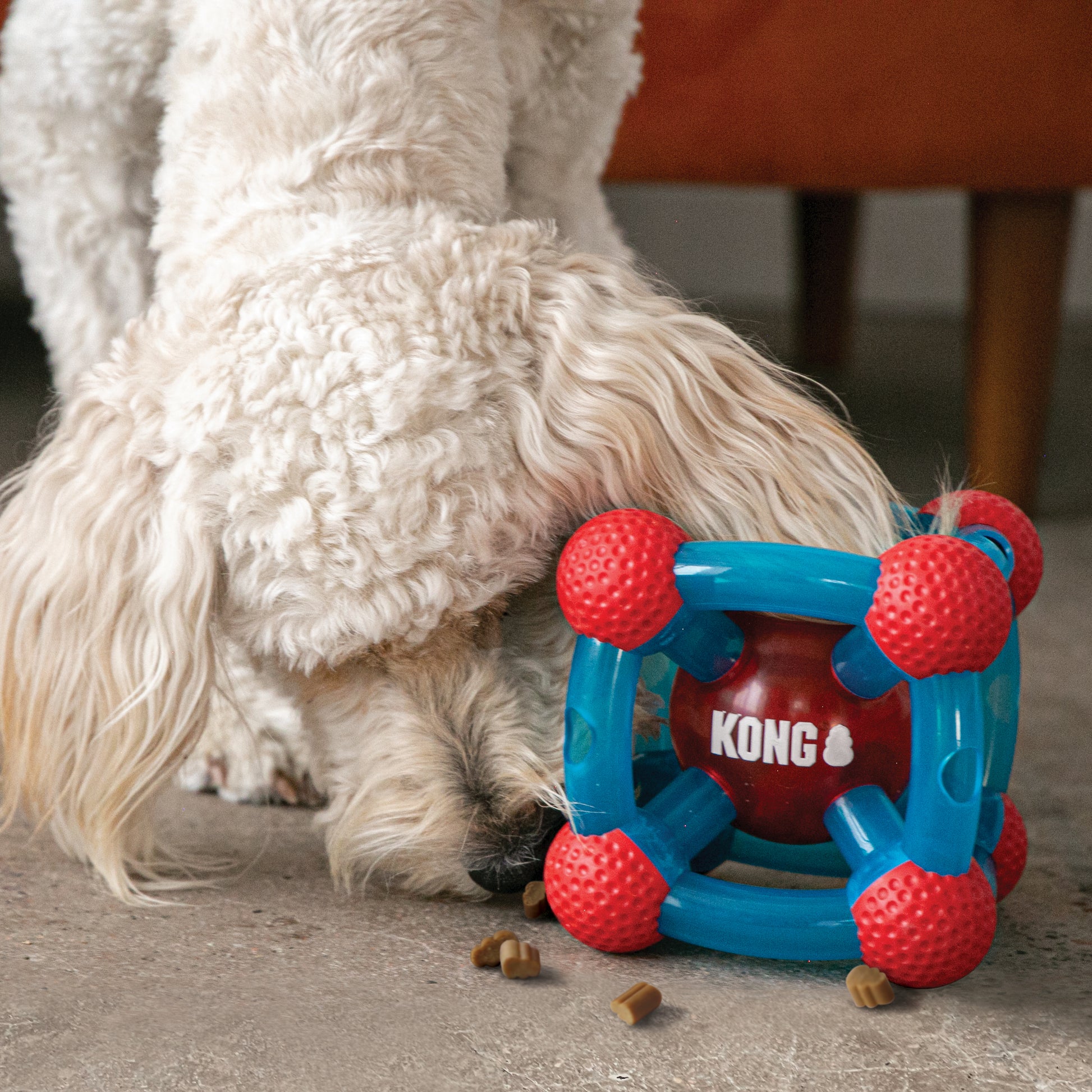 Kong Rewards Tinker Medium/Large - Juguetes para Perros
