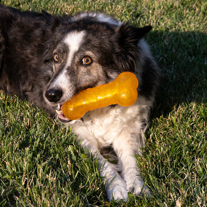 Kong Squeezz Crackle Bone Medium - Juguetes para Perros