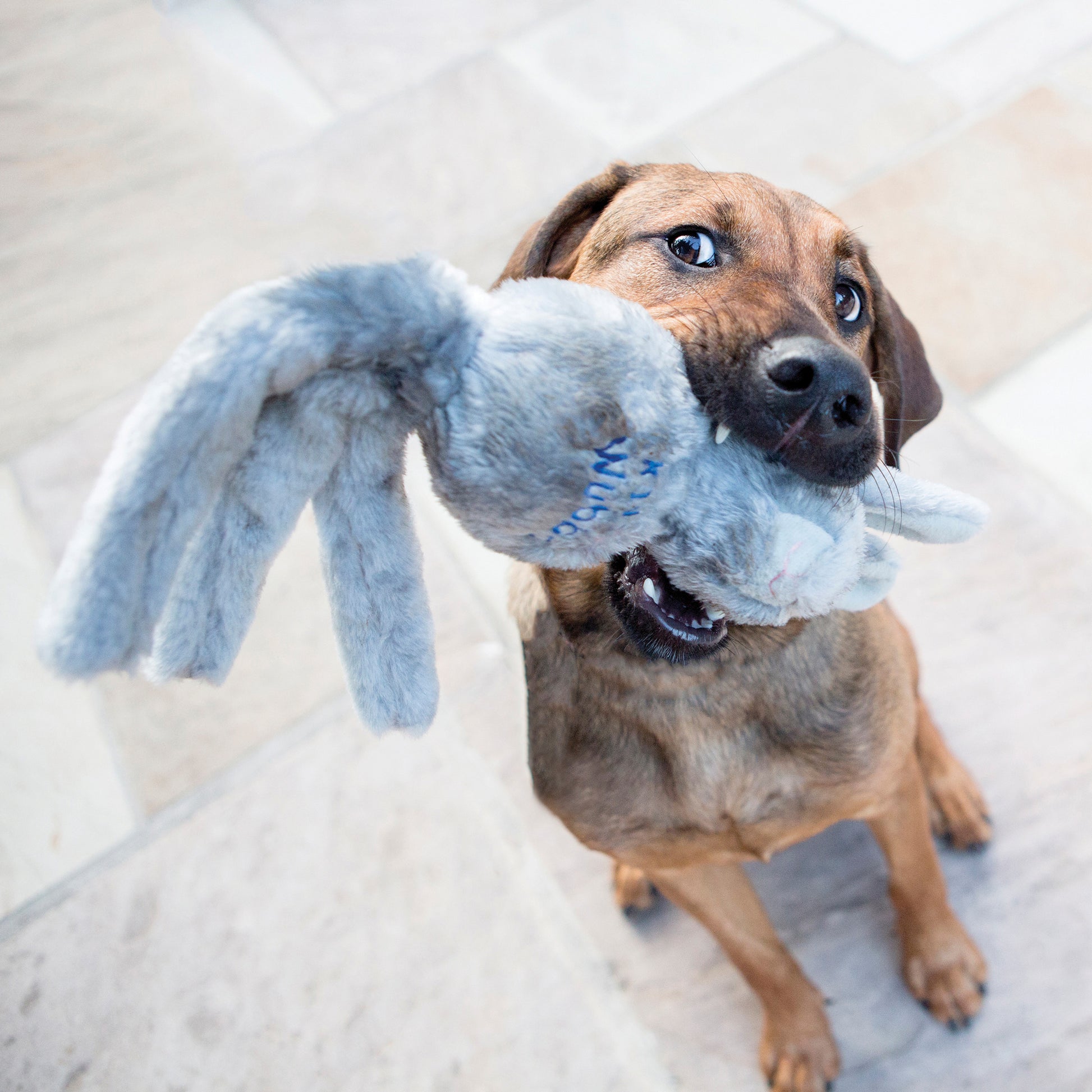 Kong Wubba Friends Small - Juguetes para Perros