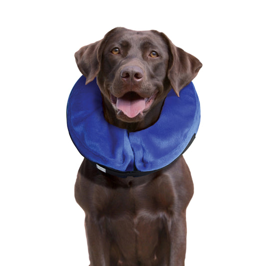 Kong Collar de Recuperación Cloud