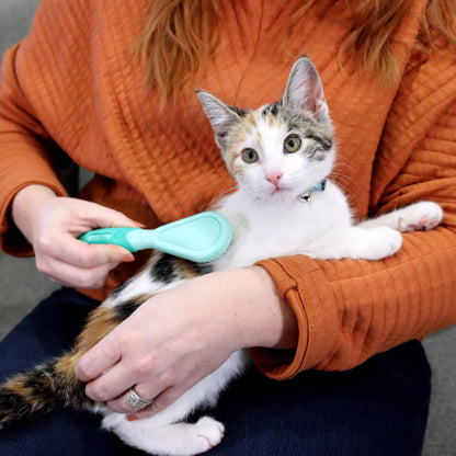 Li'l Pals Kitten Bristle Brush - Cepillo para Gatos