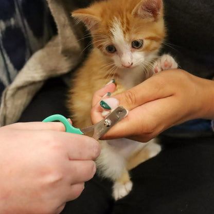 Li'l Pals Kitten Nail Trimmer - Cortaúñas par Gatos
