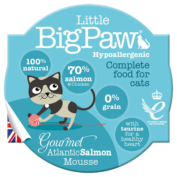 Little BigPaw Atlantic Salmon Mousse - Alimento Húmedo para Gatos