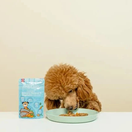 Little BigPaw Steamed Atlantic Salmon and Vegetable Terrine - Alimento Húmedo para Perros
