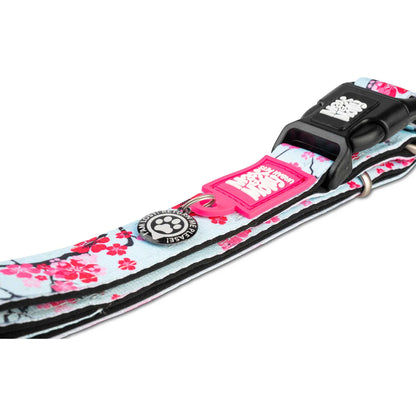 Max and Molly Gotcha! Smart ID Collar Cherry Bloom - Collares para Perros
