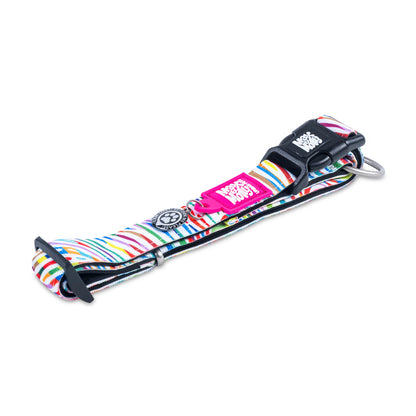 Max and Molly Smart ID Collar Magic Zebra - Collares para Perros