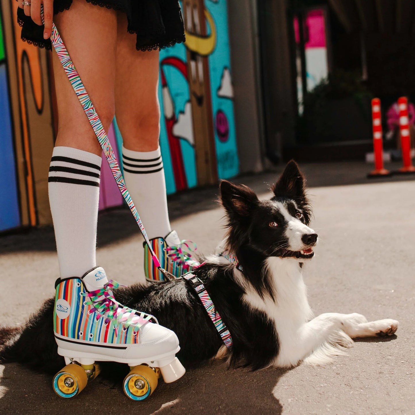 Max and Molly Smart ID Collar Magic Zebra - Collares para Perros