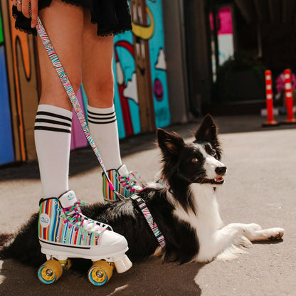 Max and Molly Smart ID Collar Magic Zebra - Collares para Perros