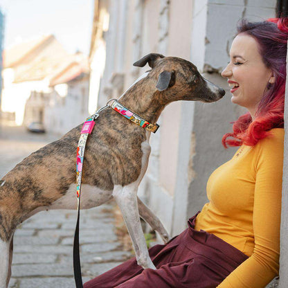 Max and Molly Smart ID Collar Missy Pop - Collares para Perros