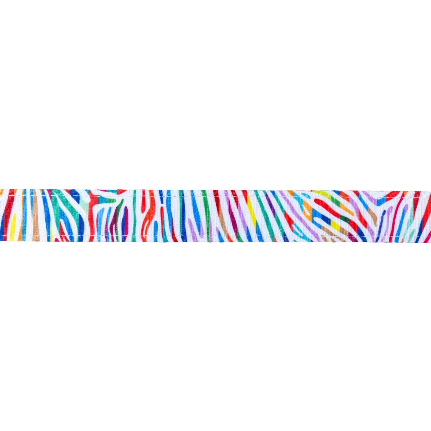 Max and Molly Short Leash Magic Zebra - Correas para Perros