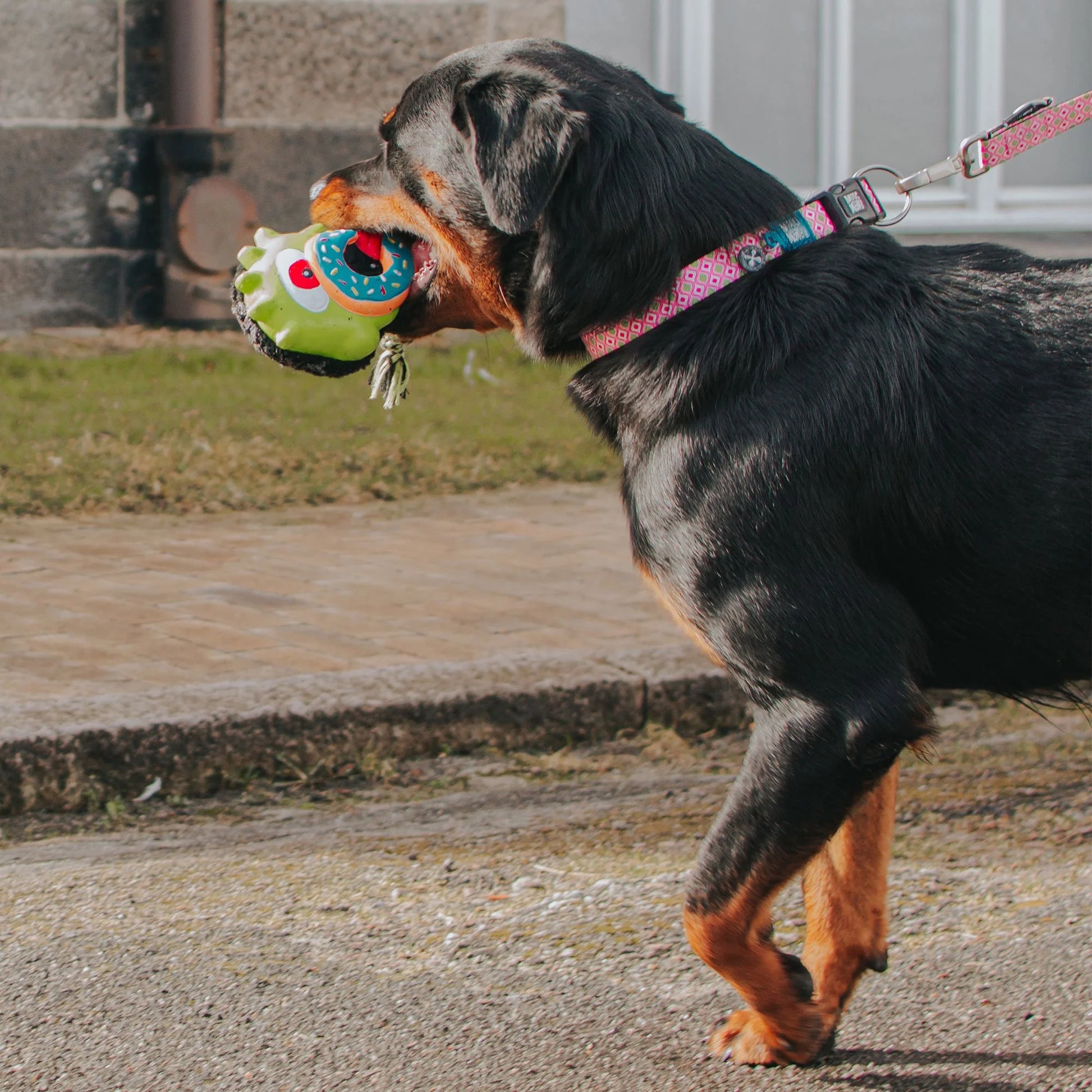 Max and Molly Snuggles Toy Bob The Blob - Juguetes para Perros