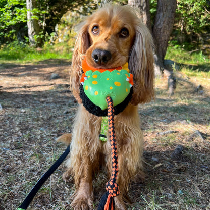 Max and Molly Snuggles Toy Otto The Dino - Juguetes para Perros