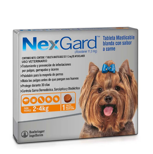 Nexgard para Perros de 2 a 4 KG - Antipulgas para Perros