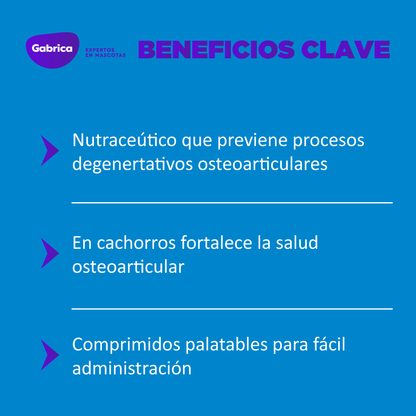 OL Trans Flex - Suplementos y vitamínicos para Perros - Petit Paws