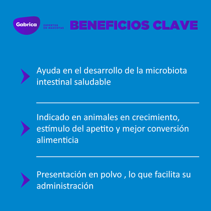 Organew Pet - Suplementos para Perros y Gatos - Petit Paws