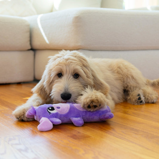 Outward Hound Big Squeak Moose Medium - Juguetes para Perros