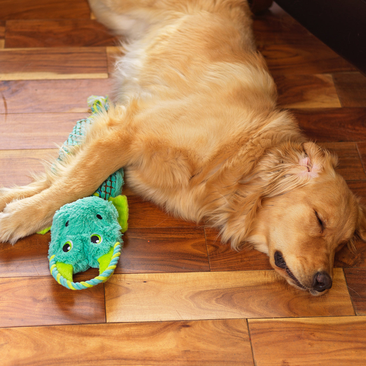 Outward Hound Ropiez Dragon - Juguetes para Perros