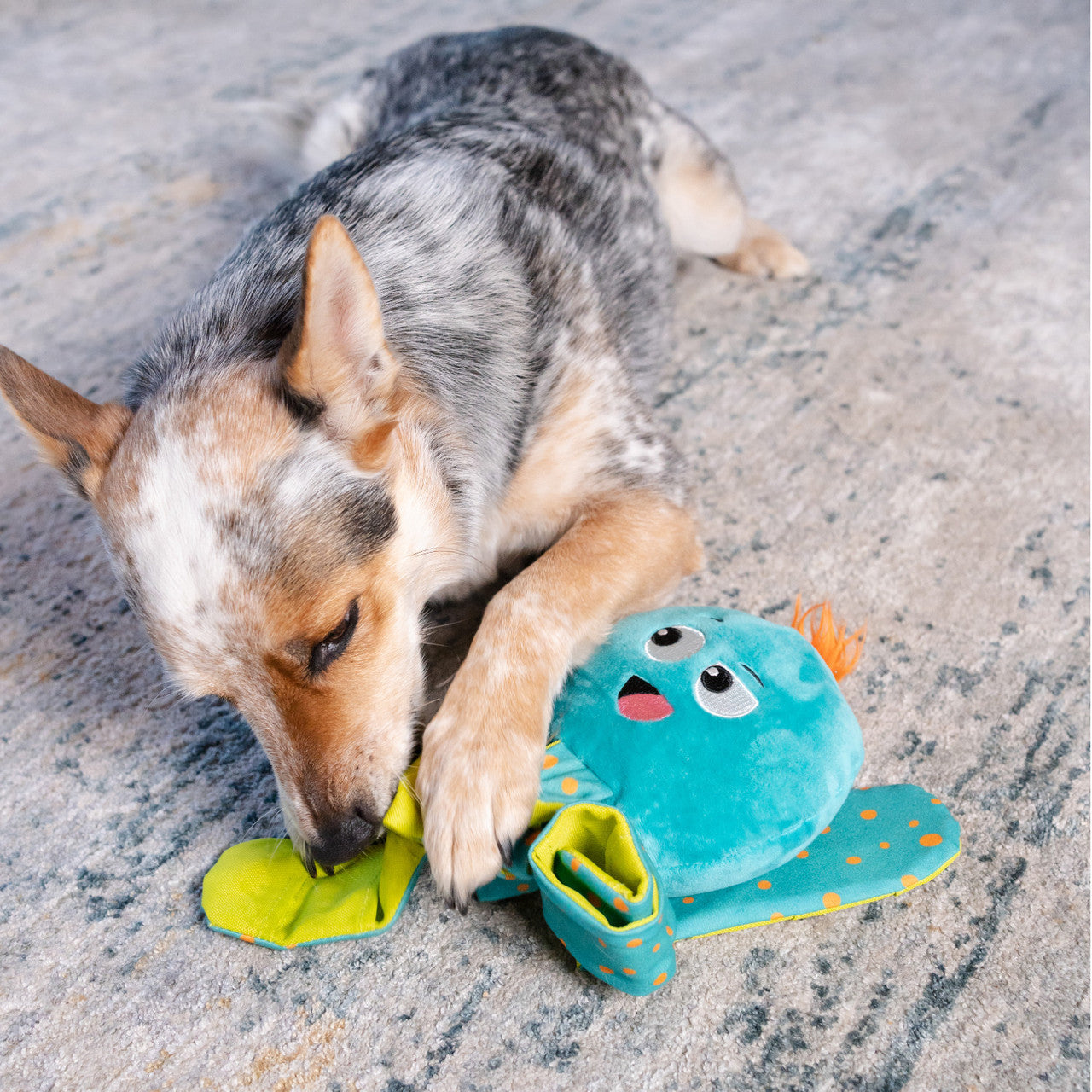 Outward Hound Silly Legz Puzzle - Juguetes para Perros