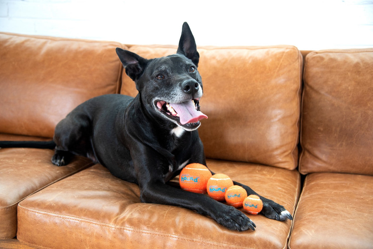 Outward Hound Squeaker Ballz - Juguetes para Perros