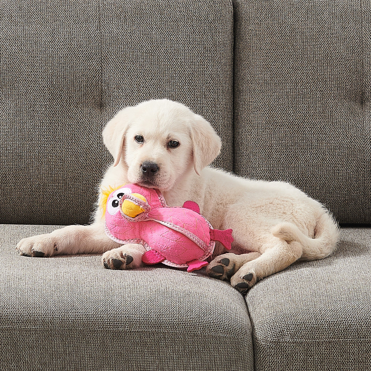 Outward Hound Xtreme Seamz Flamingo M - Juguetes para Perros