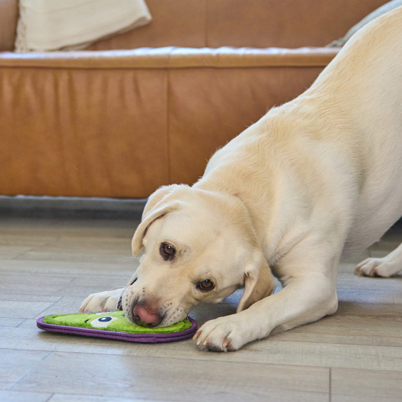 Outward Hound Tough Skinz Avocado M - Juguetes para Perros