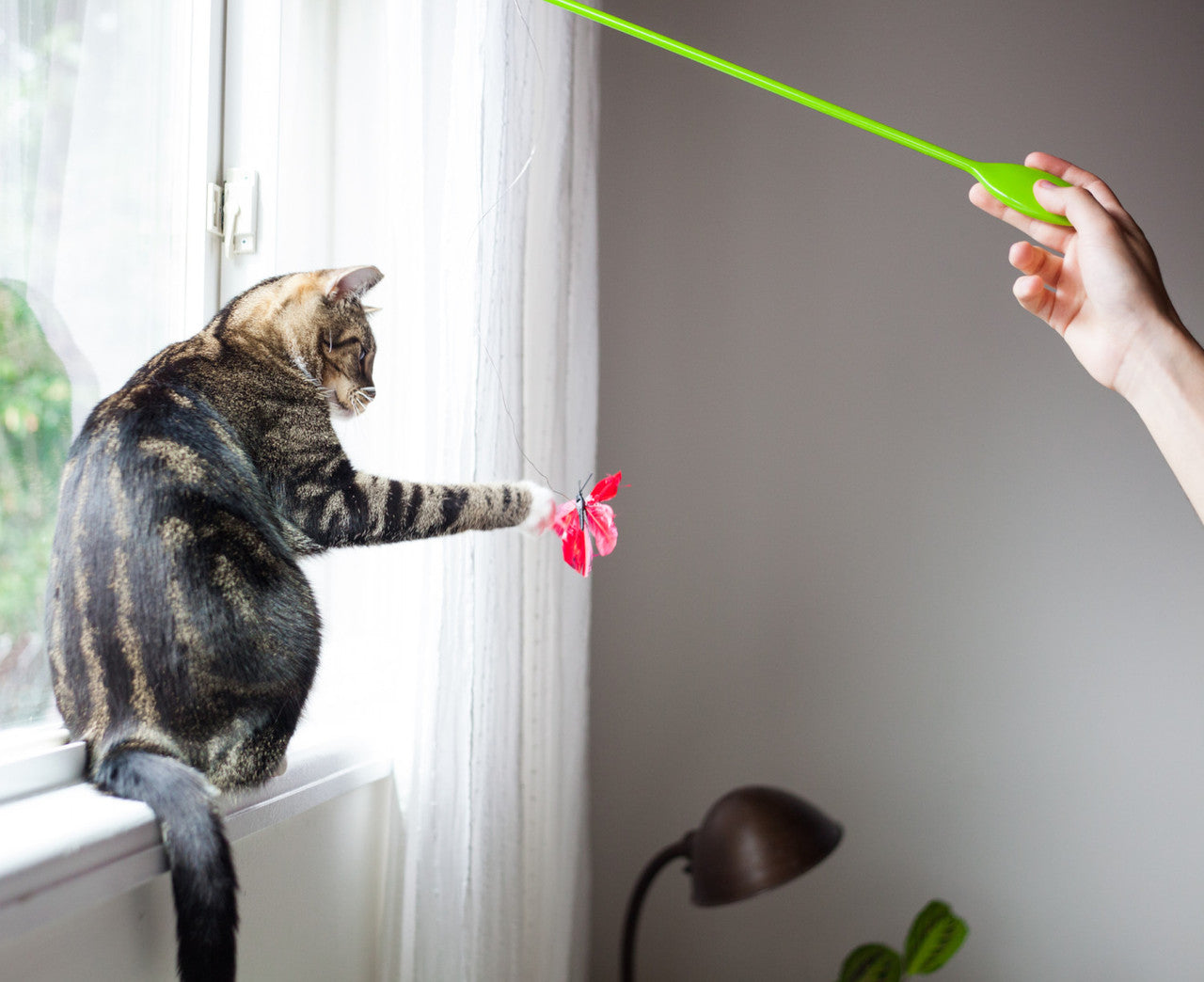 Petstages Butterfly Chase Wand - Juguetes para Gatos