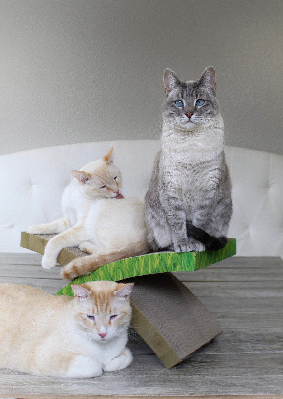 Petstages Rascador Easy Life Hammock - Rascadores para Gatos