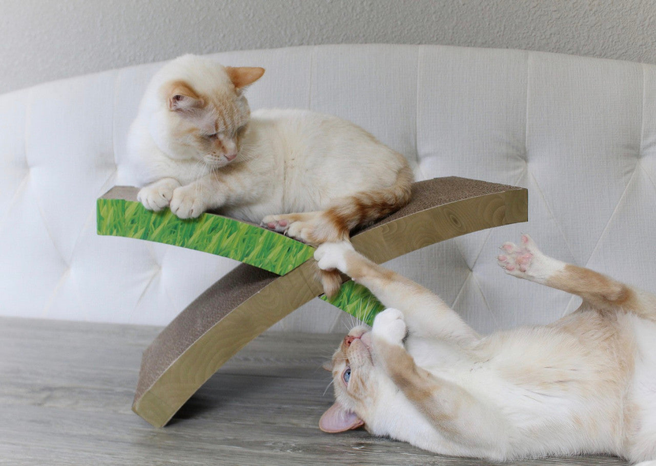 Petstages Rascador Easy Life Hammock - Rascadores para Gatos