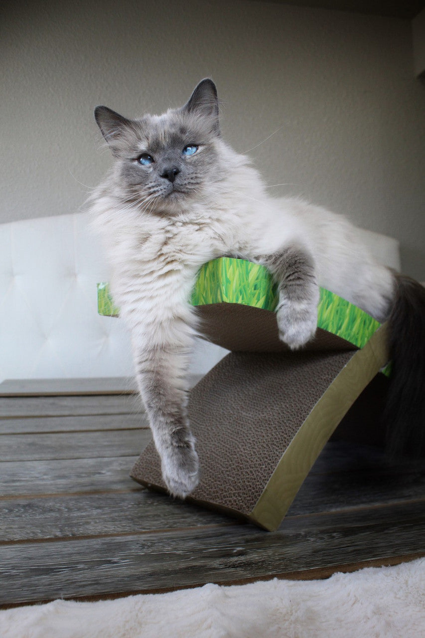 Petstages Rascador Easy Life Hammock - Rascadores para Gatos