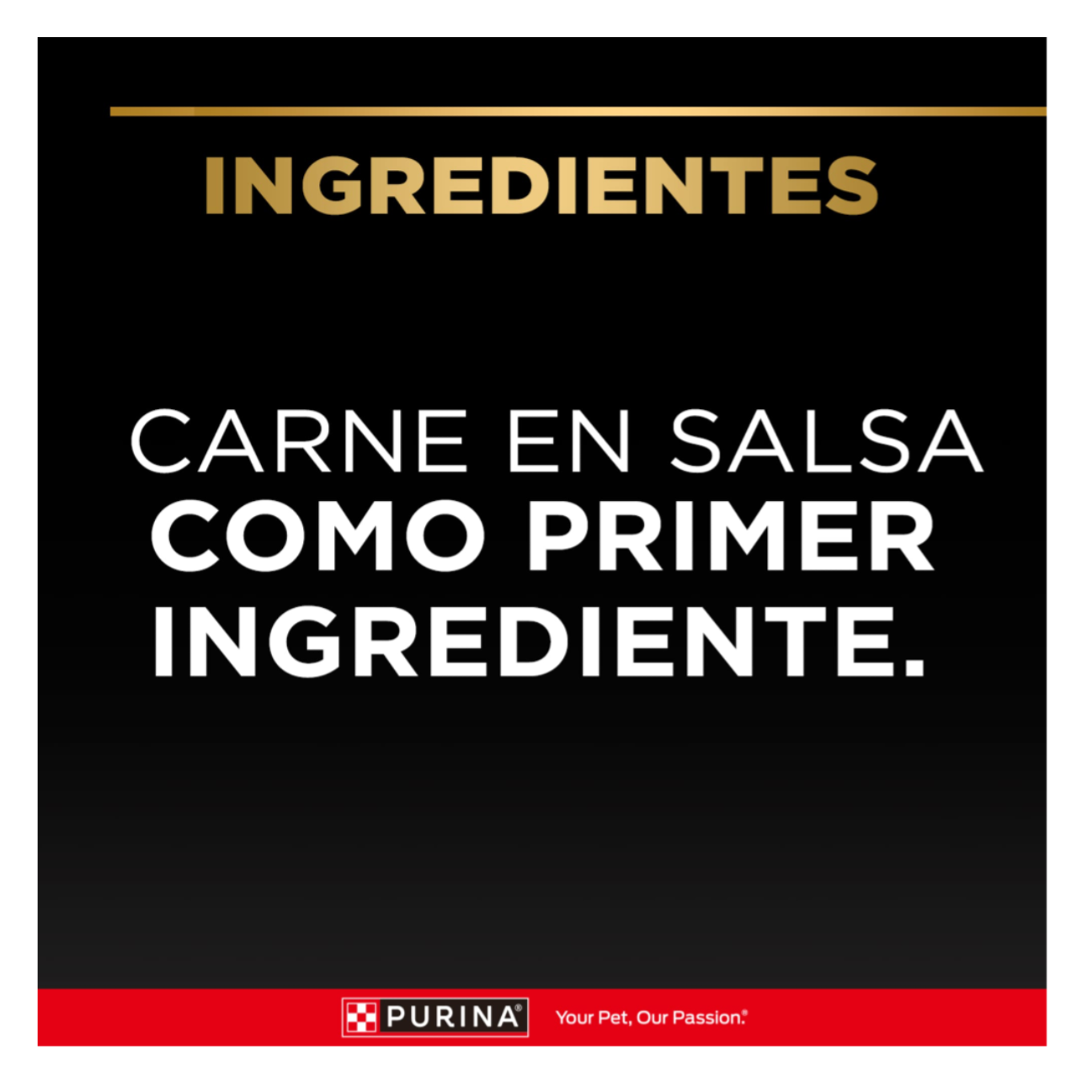 Pro Plan Pouch Adulto Carne - Alimento Húmedo para Perros