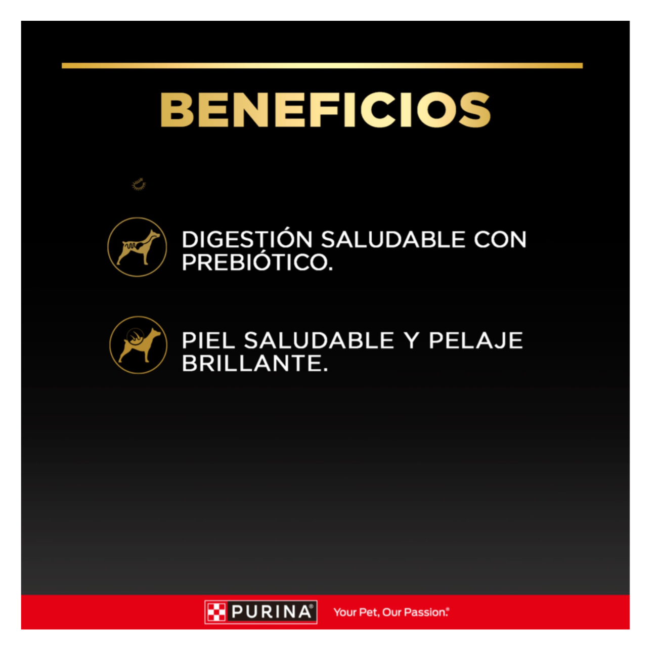 Pro Plan Pouch Adulto Carne - Alimento Húmedo para Perros