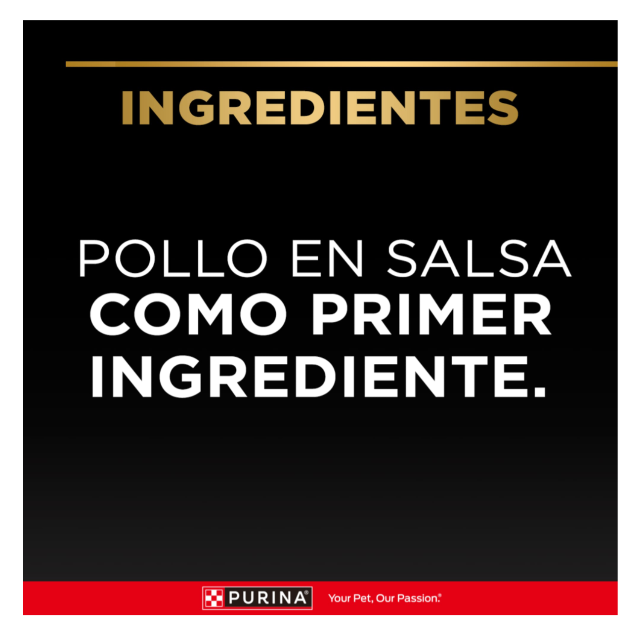 Pro Plan Pouch Adulto Pollo - Alimento Húmedo para Perros