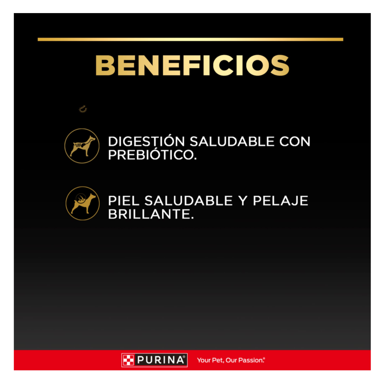 Pro Plan Pouch Adulto Pollo - Alimento Húmedo para Perros