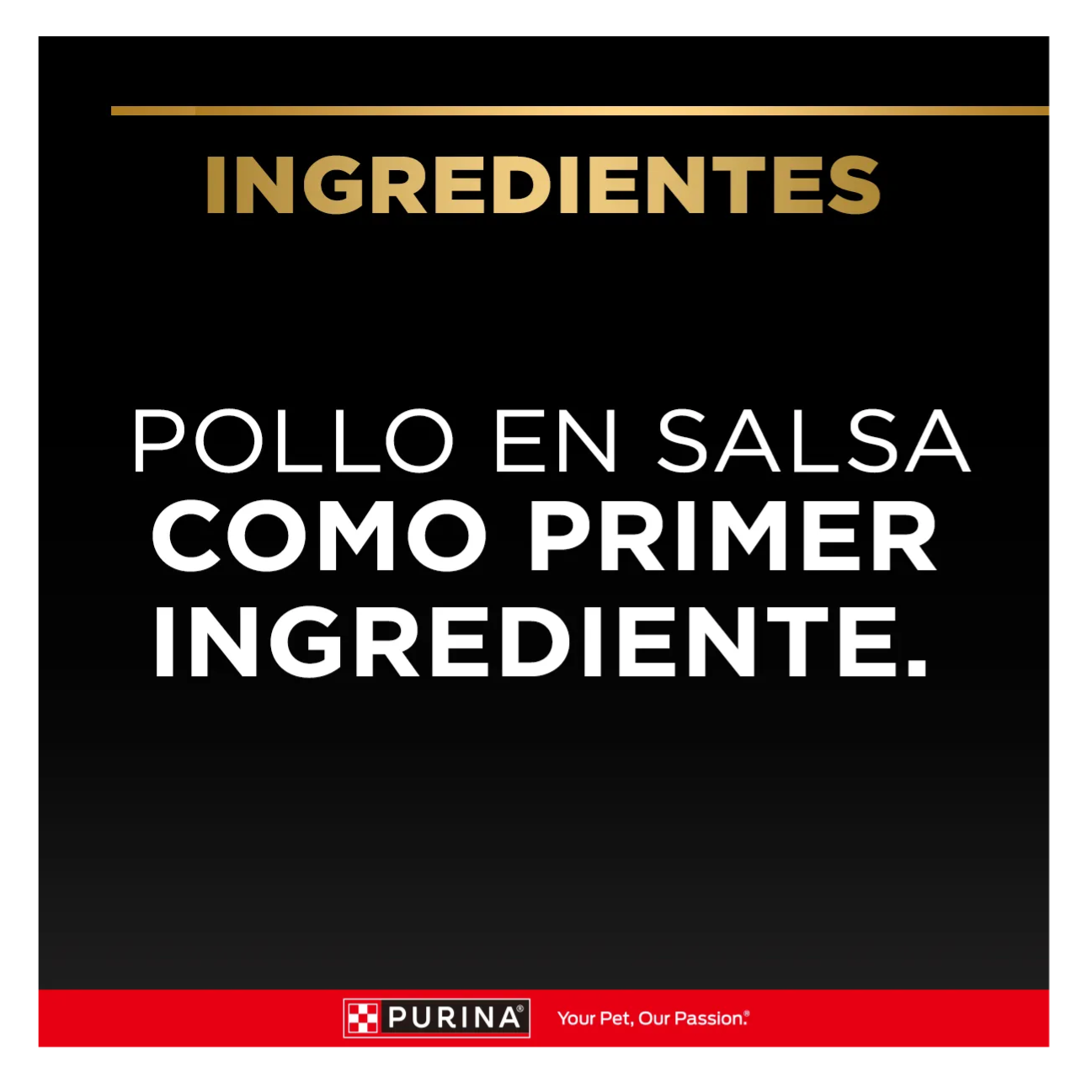 Pro Plan Pouch Gato Adulto Pollo - Alimento Húmedo para Gatos