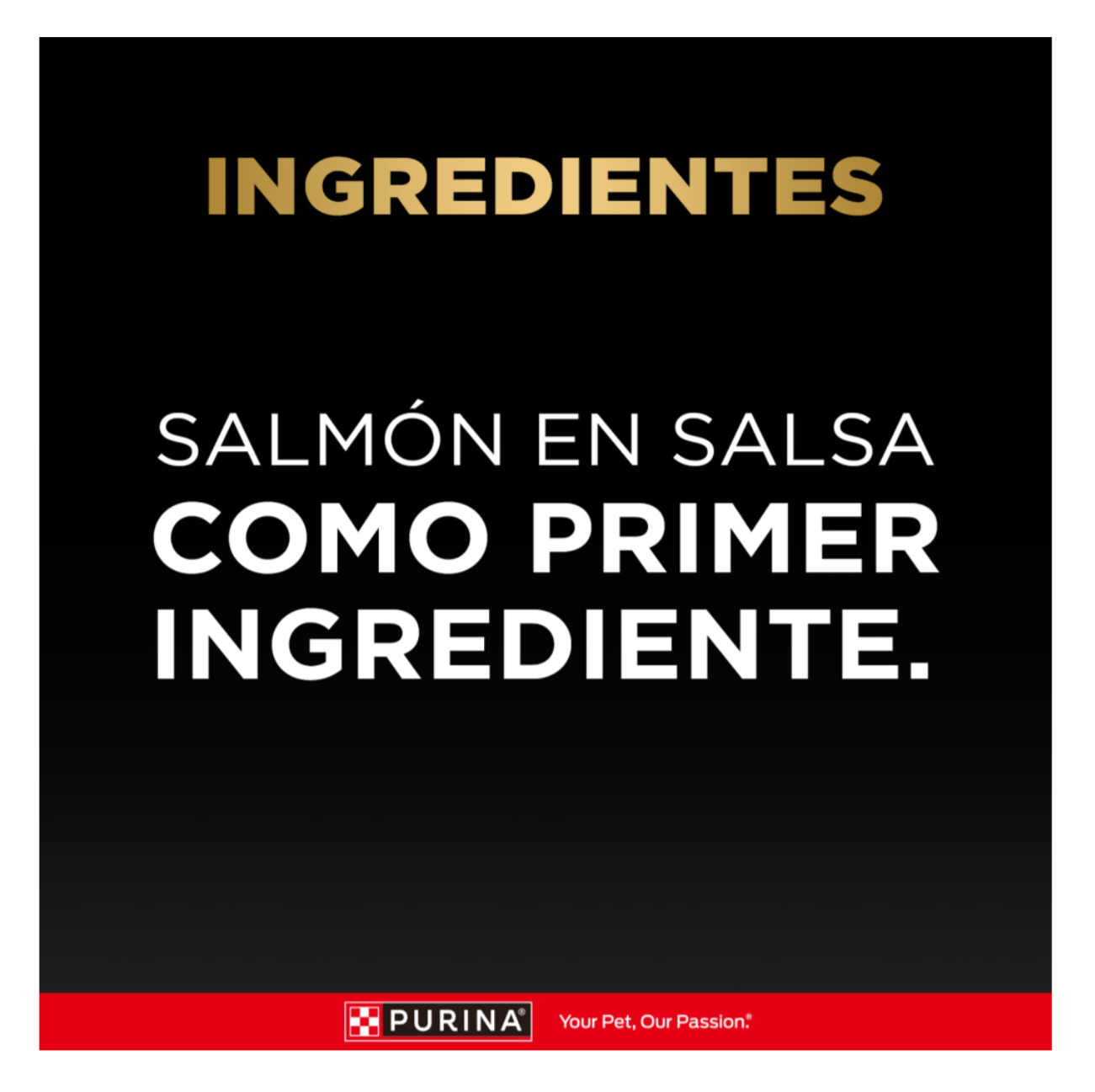 Pro Plan Pouch Gato Adulto Salmón - Alimento Húmedo para Gatos