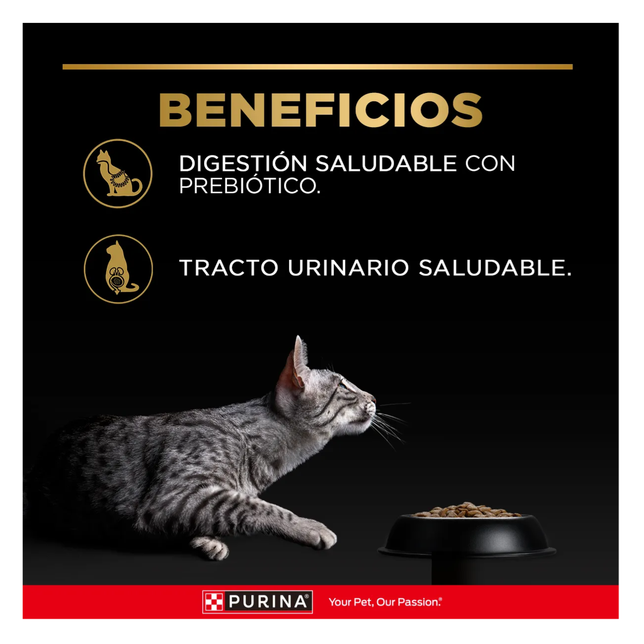 Pro Plan Pouch Gato Adulto Urinary - Alimento Húmedo para Gatos