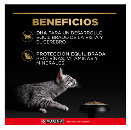 Pro Plan Pouch Kitten - Alimento Húmedo para Gatos
